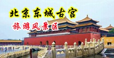老女人抠逼教学中国北京-东城古宫旅游风景区